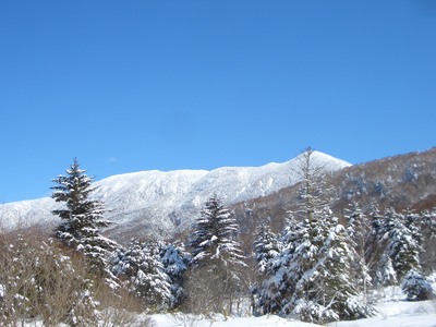 ２０２５～２６本館指定ウインタープラン