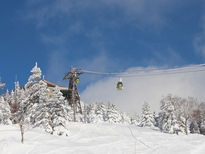 【公式ベストレート】【早割28】早めのご予約で5％オフ！絶景の志賀高原でスキー・スノボを楽しもう◆一泊二食付